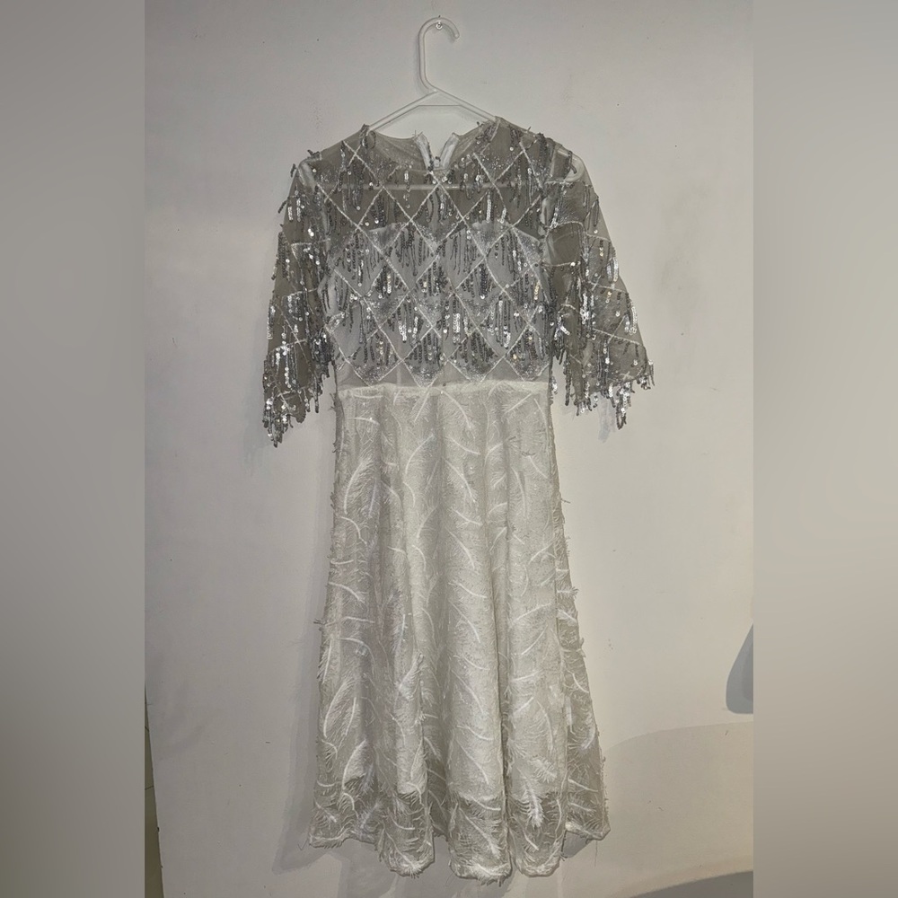 Holiday Silver Dress